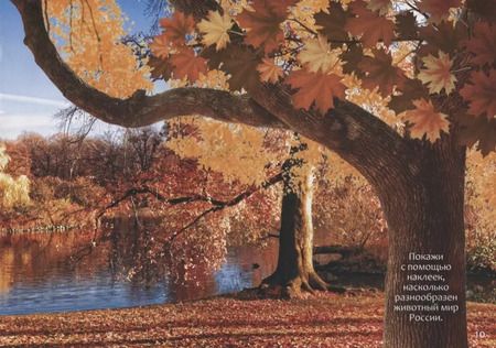 Фотография книги "111 наклеек. Животные России"