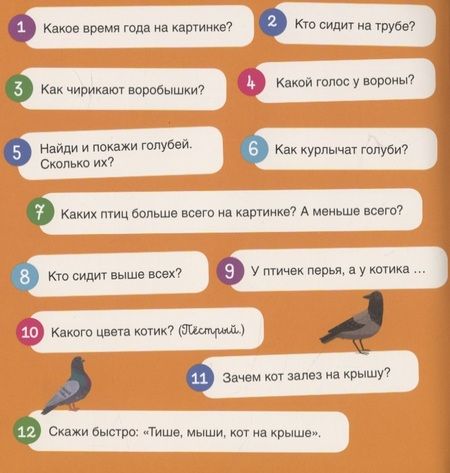 Фотография книги "117 вопросов по картинкам. Самый лучший день"