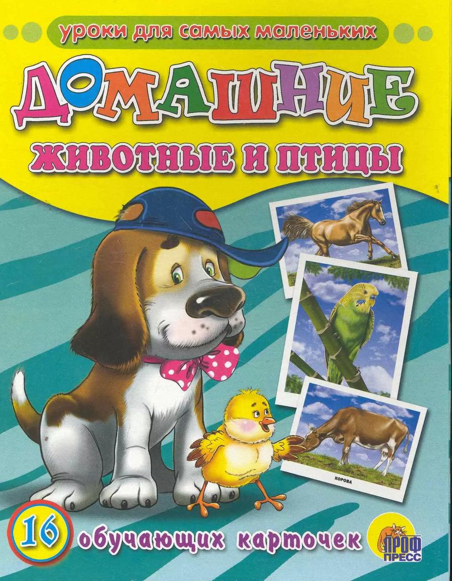 Обложка книги "Домашние животные и птицы /16 обучающих карточек"