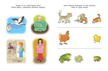 Фотография книги "Знакомимся с природой Дошкольная мозаика с наклейками / 4-5 лет"