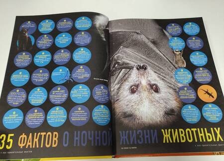 Фотография книги "5000 удивительных фактов. (Обо всем на свете!)"