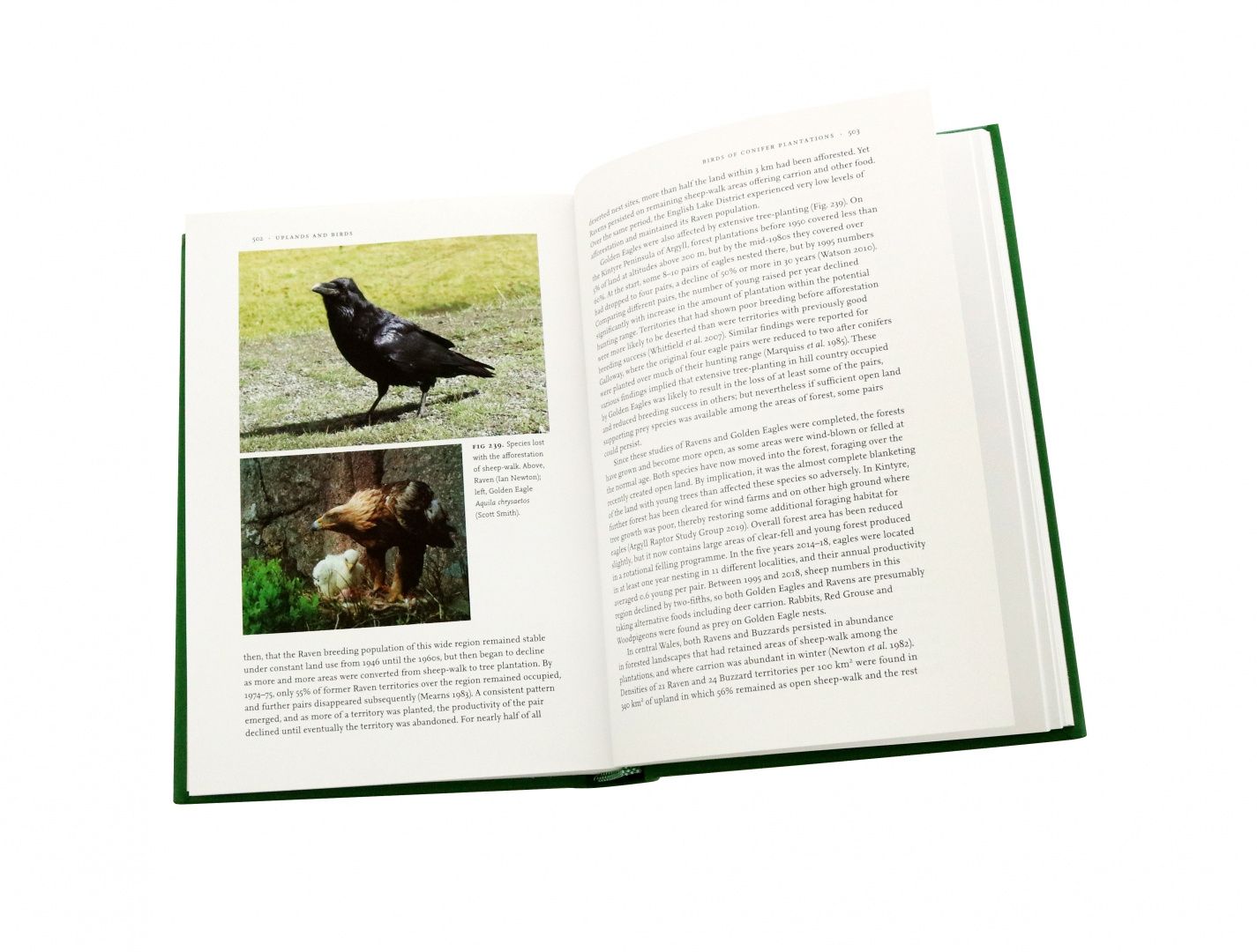 Ian Newton: Uplands And Birds