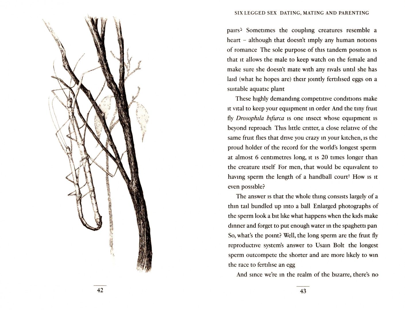 Anne Sverdrup-Thygeson: Extraordinary Insects. Weird. Wonderful. Indispensable. The ones who run our world