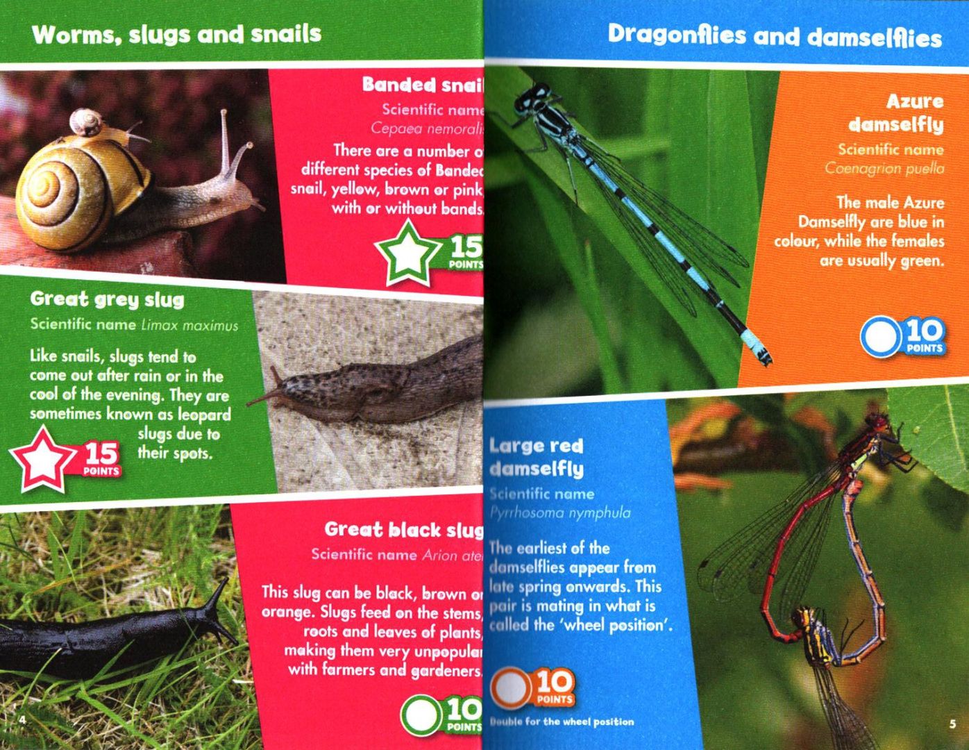 I-Spy Creepy Crawlies. Spy It! Score It!