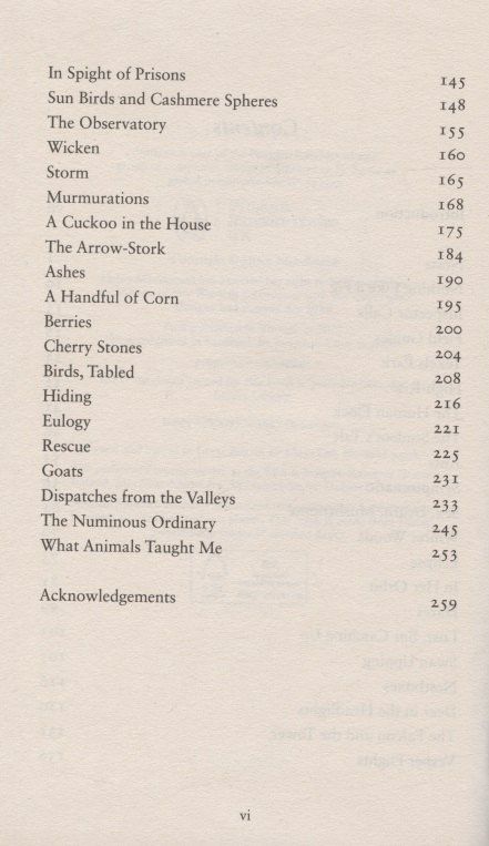 Helen MacDonald: Vesper Flights