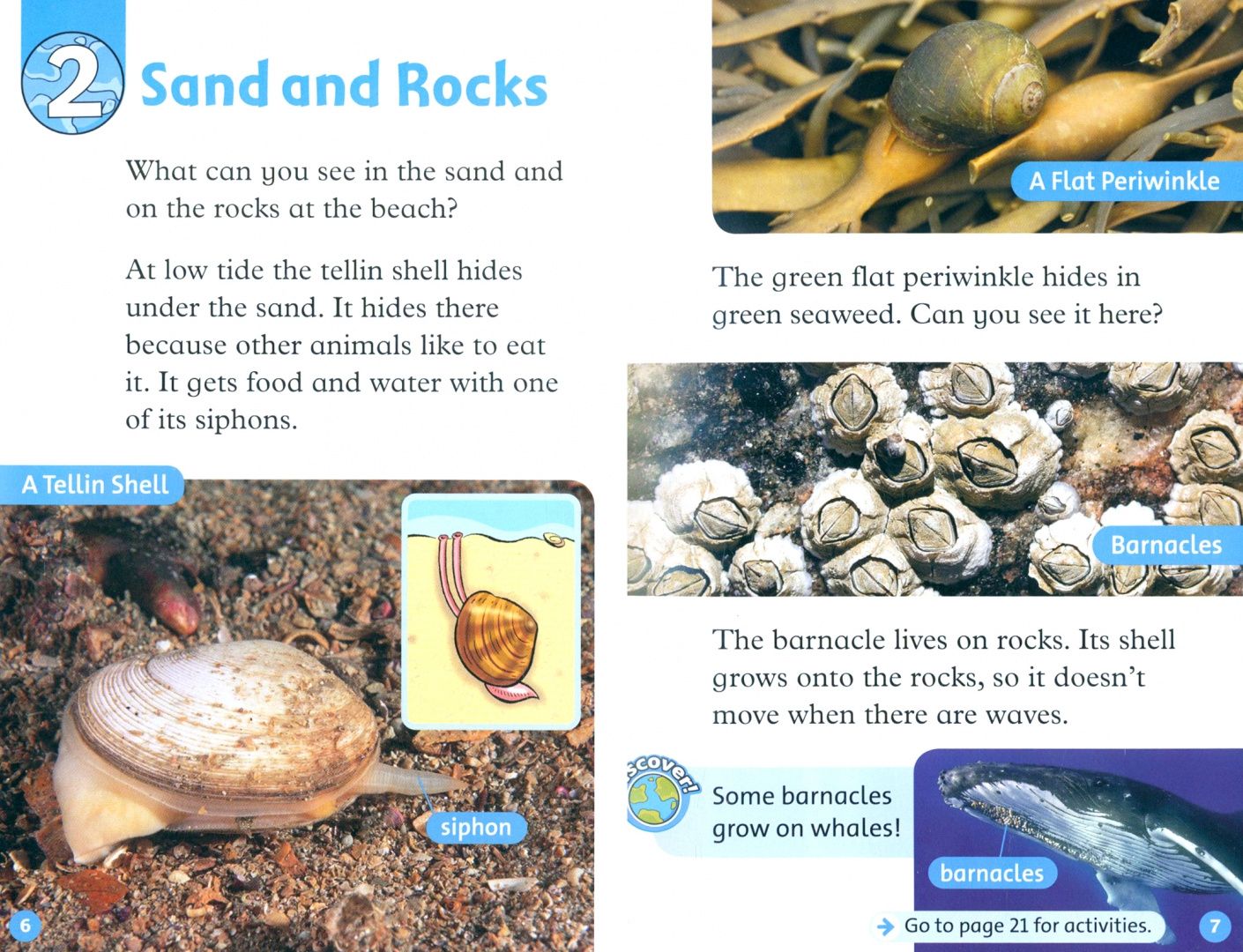 Rachel Bladon: Oxford Read and Discover. Level 1. At the Beach