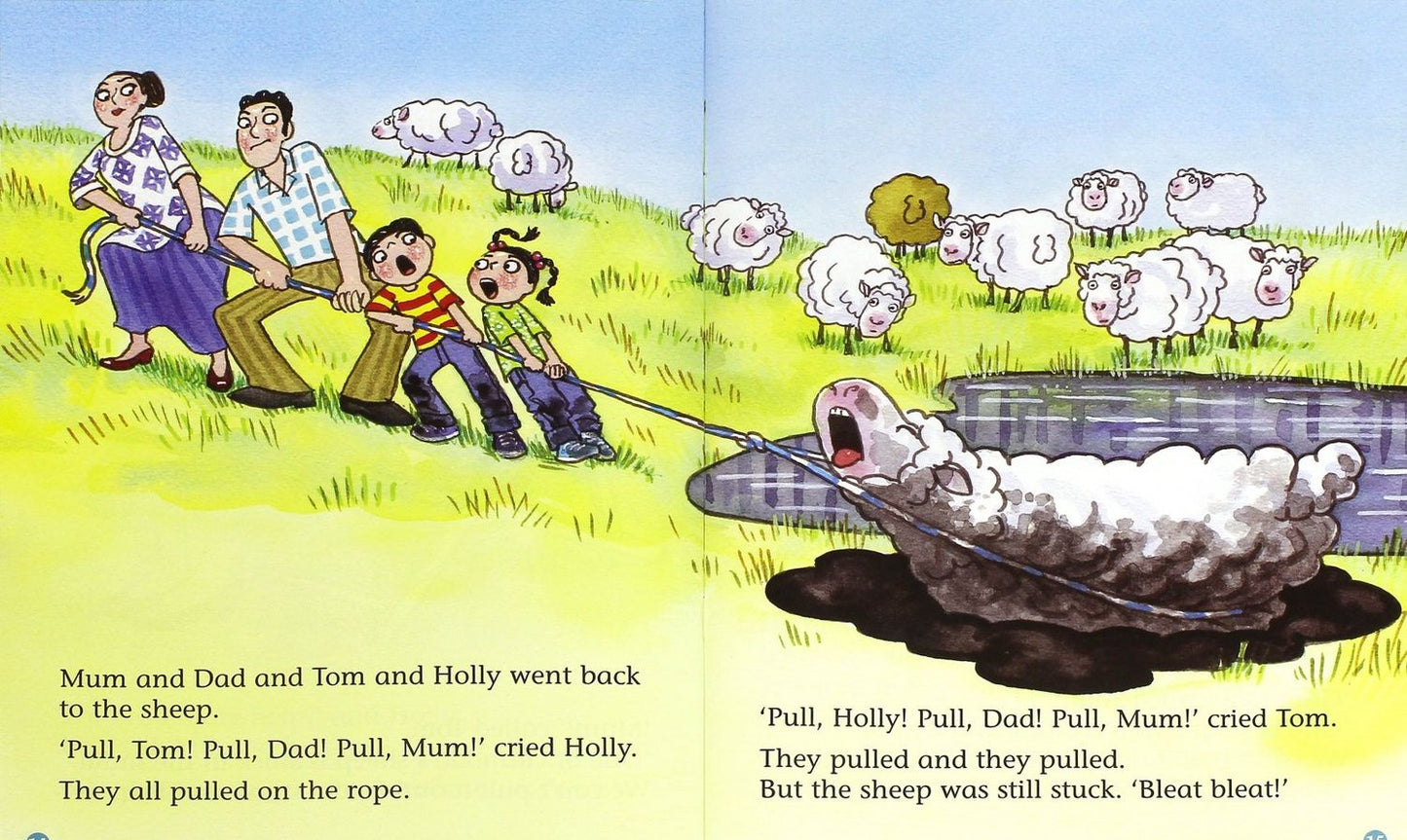 Gill Munton: The Muddy Sheep