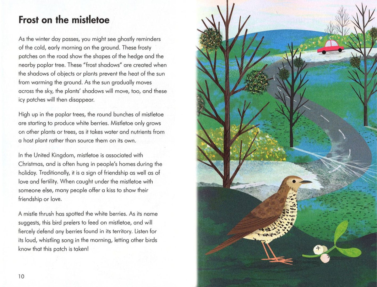 Elizabeth Jenner: What to Look For in Winter