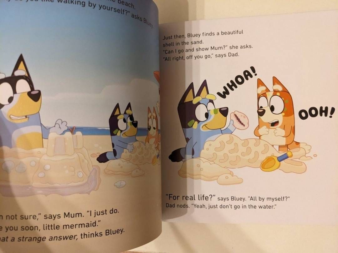 Bluey. The Beach