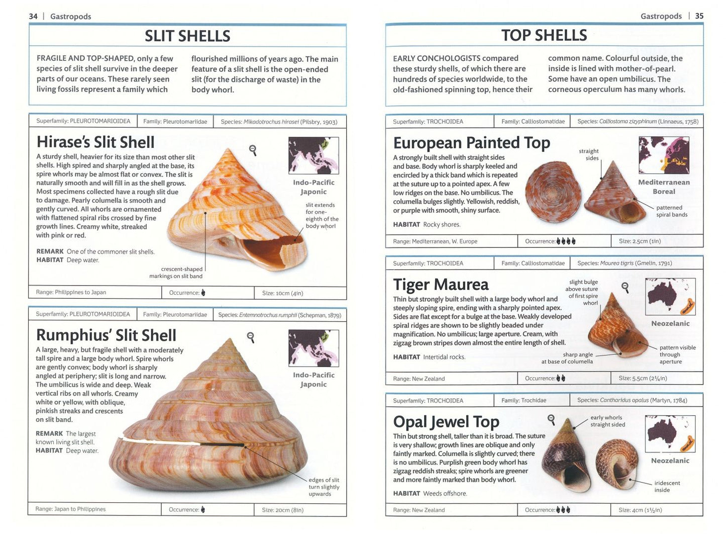 S. Dance: Handbooks. Shells
