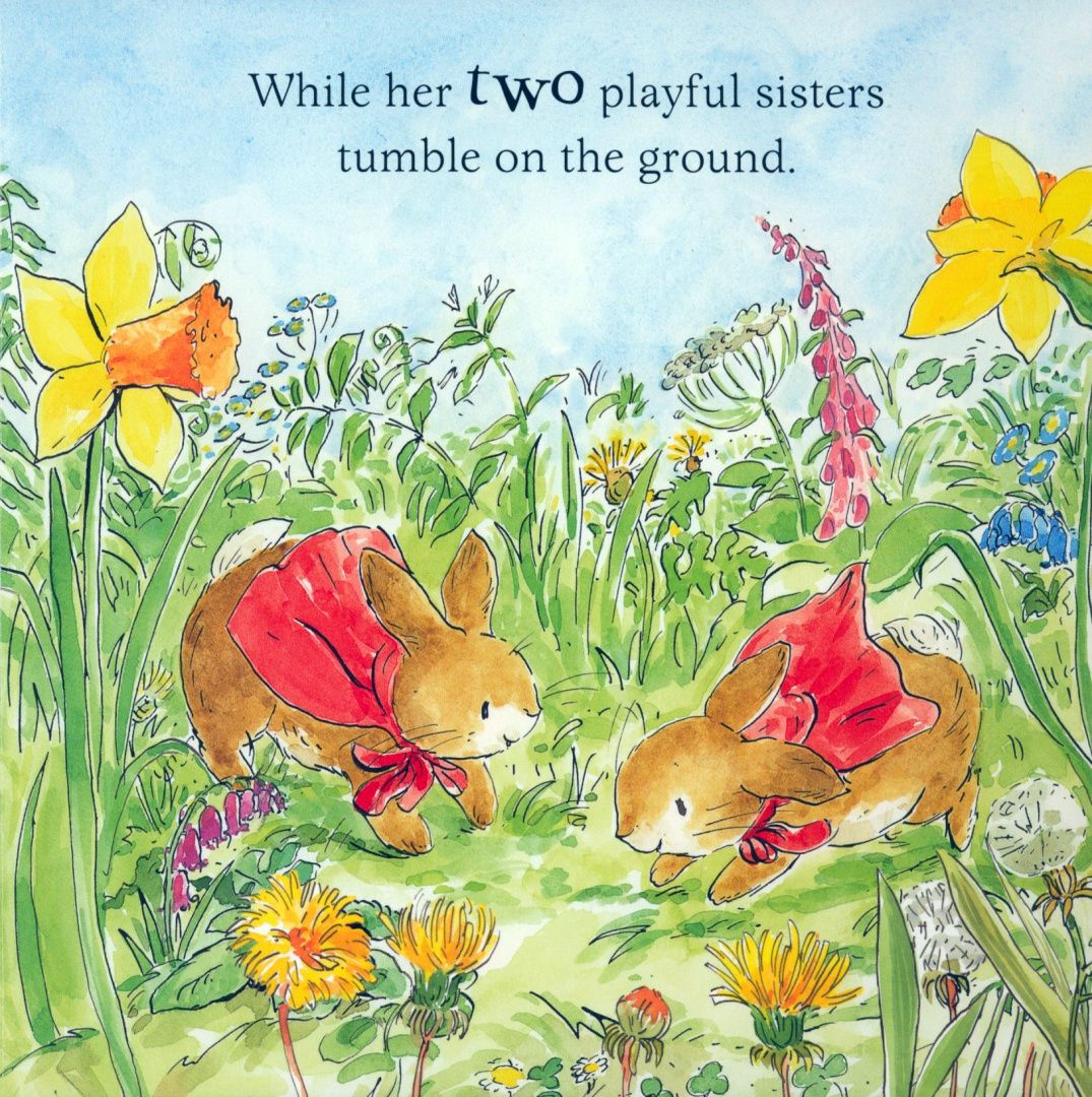 Beatrix Potter: Peter's First Easter
