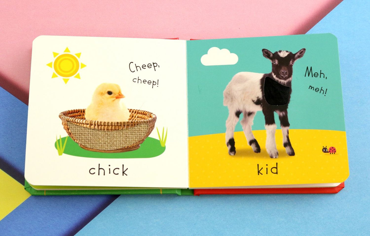 Touch and Feel Farm