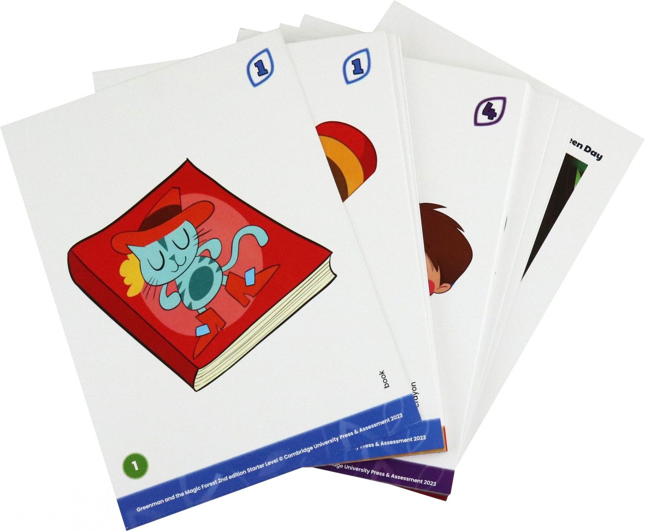 Marilyn Miller: Greenman and the Magic Forest. 2nd Edition. Starter. Flashcards
