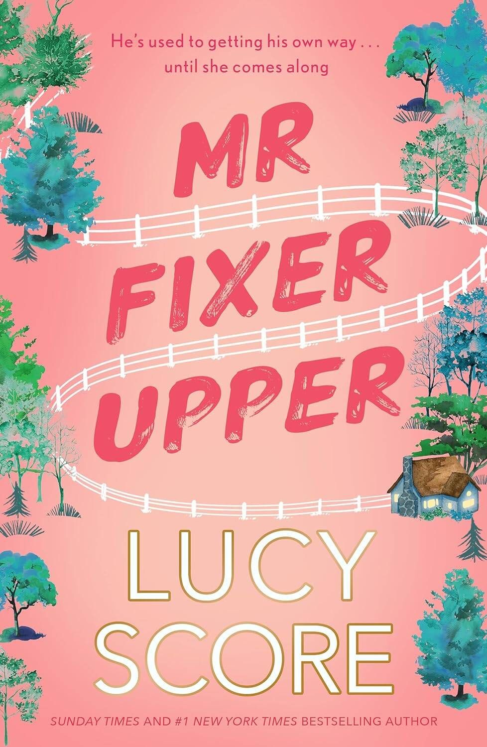 Люси Скоур: Mr. Fixer Upper