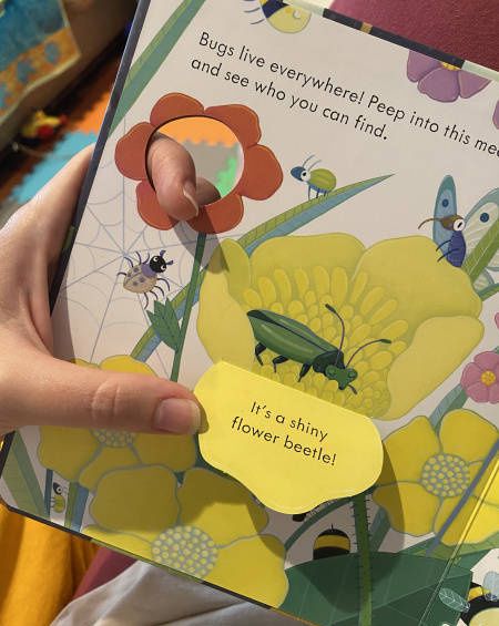Anna Milbourne: Peep Inside. Bug Homes