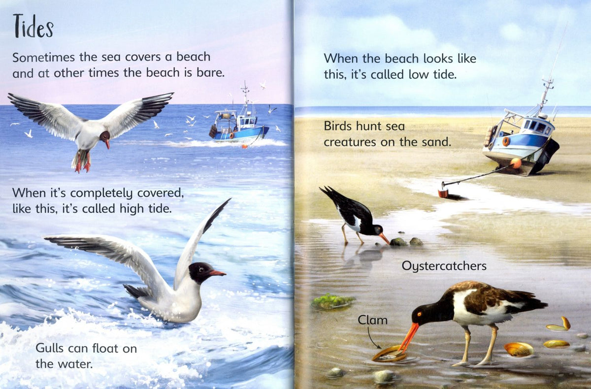 Emily Bone: On the Beach