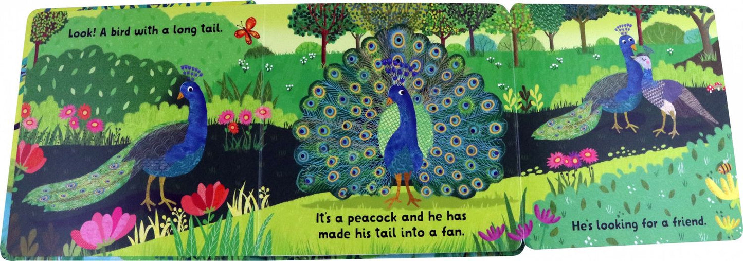 Tracy Cottingham: Kew. Lift and Look Birds