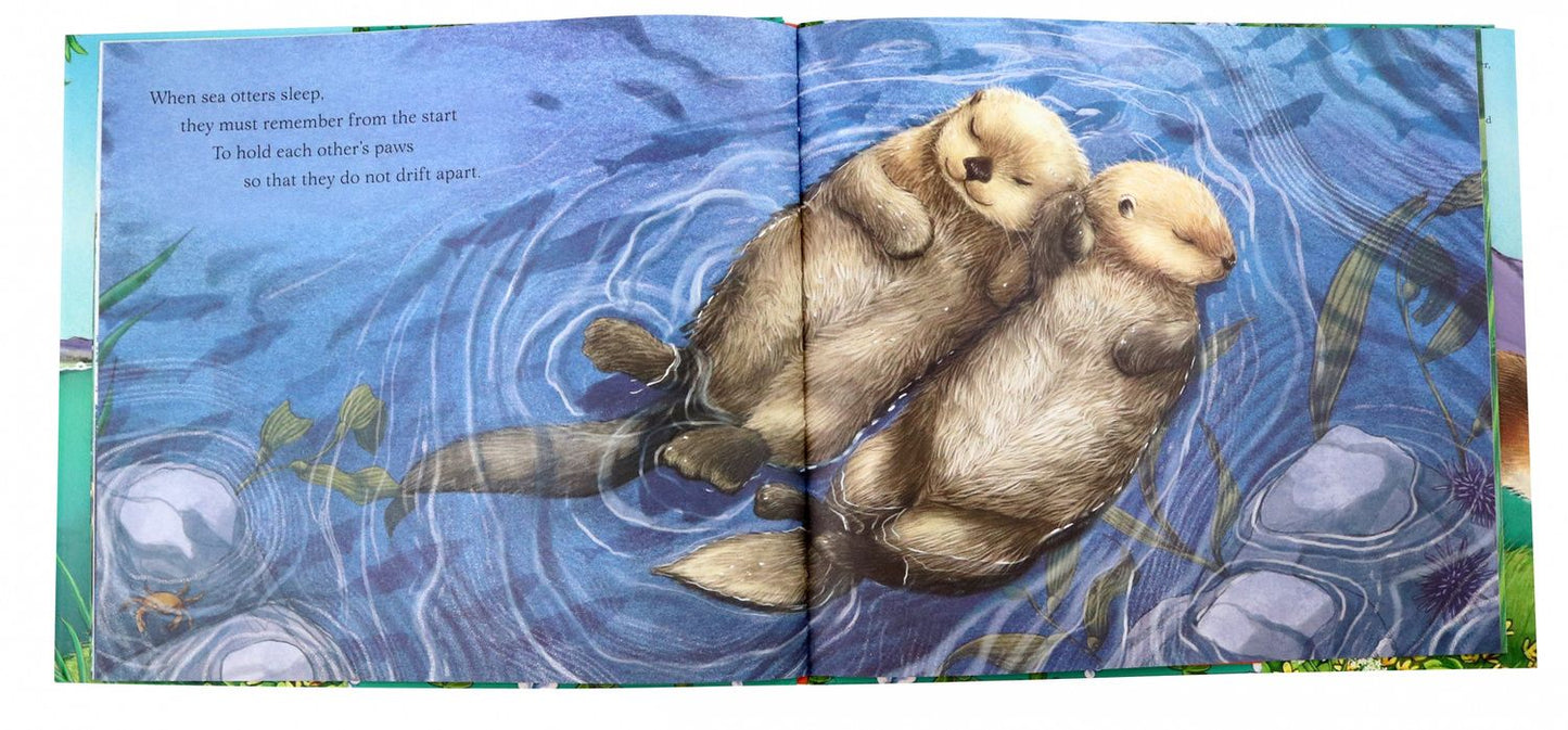 Pam Ayres: I am Oliver the Otter. A Tale from our Wild and Wonderful Riverbanks