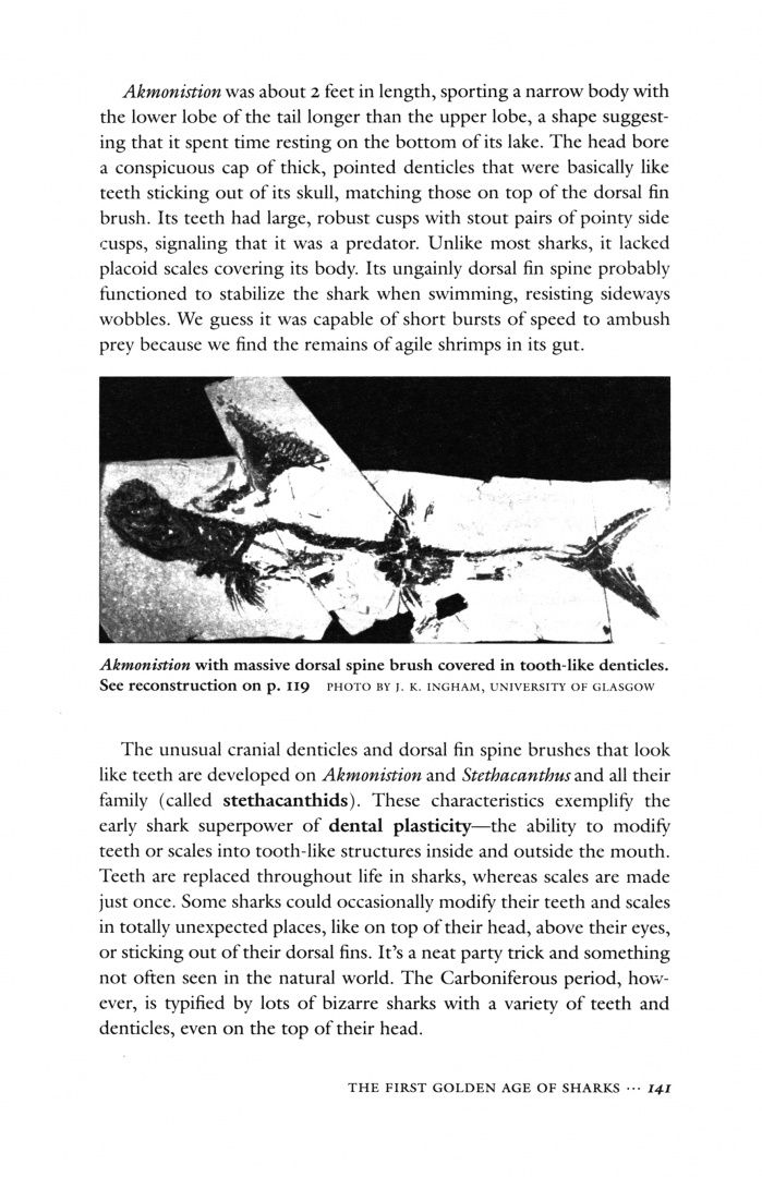 John Long: The Secret History of Sharks. The Rise of the Ocean's Most Fearsome Predators