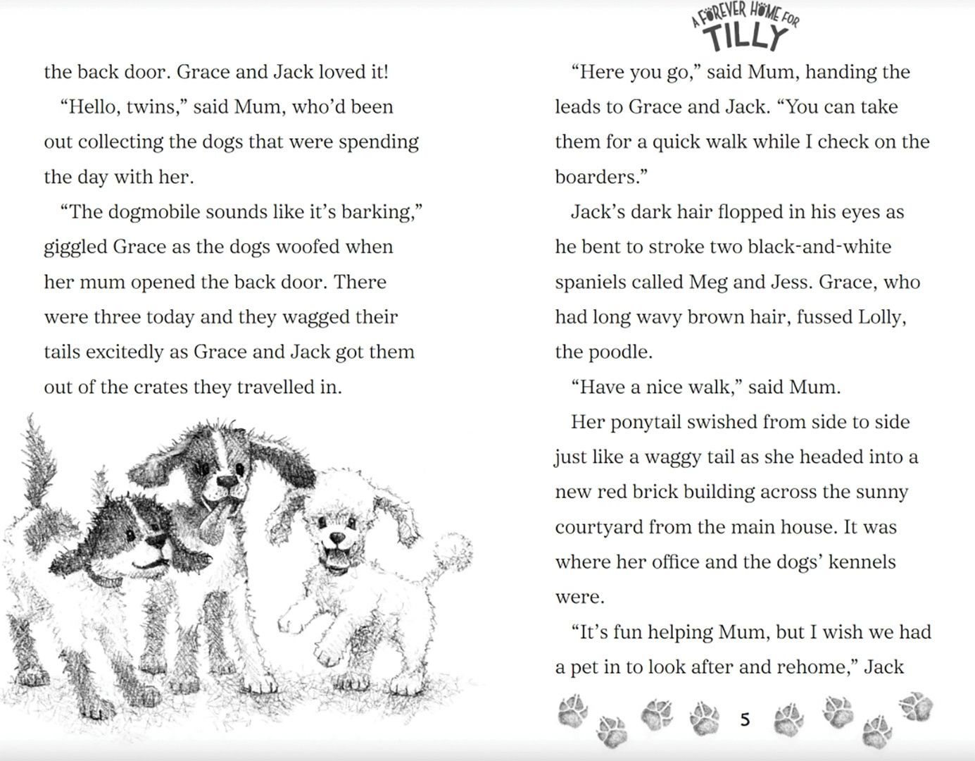 Linda Chapman: A Forever Home for Tilly