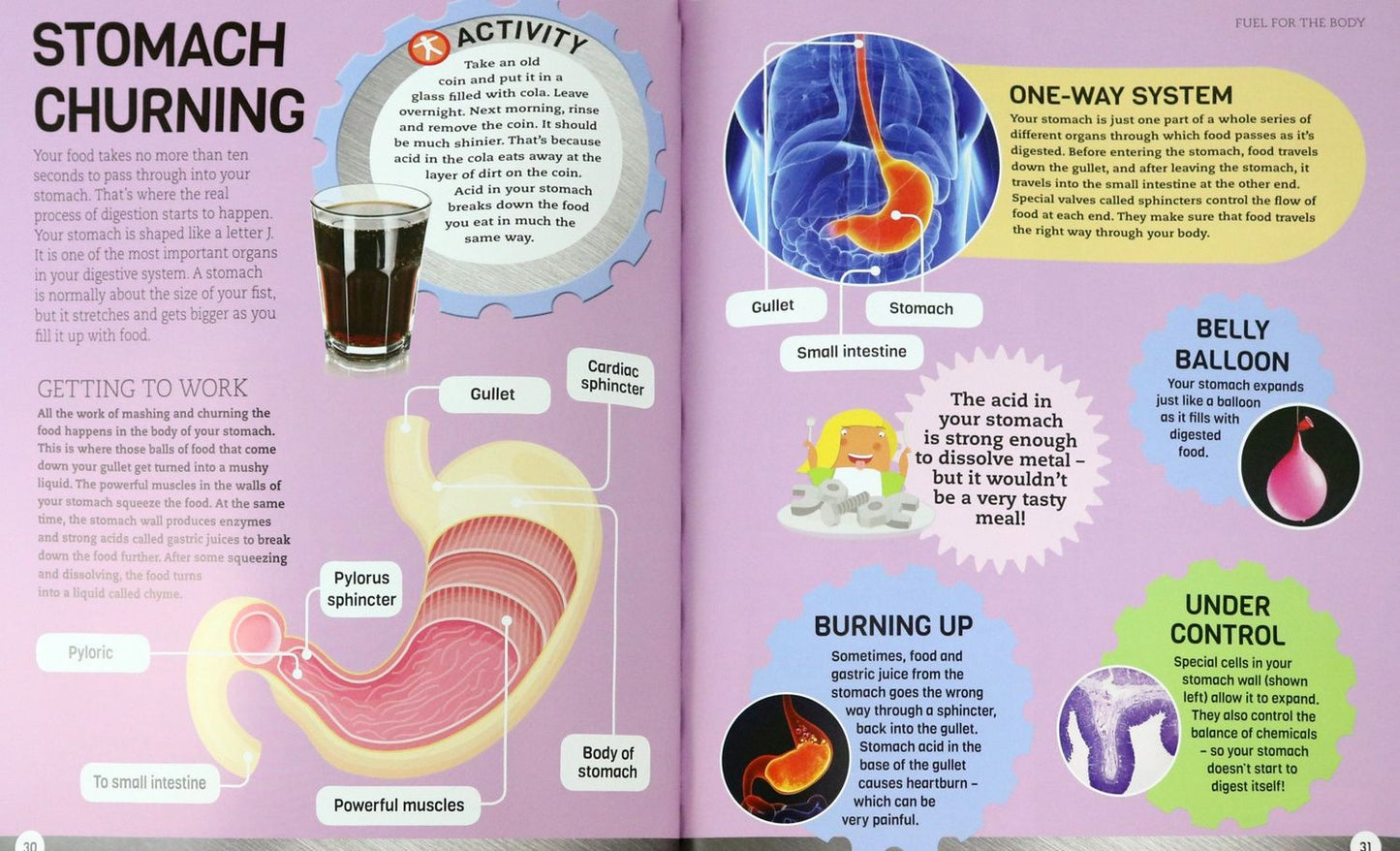 How Your Body Works. The Ultimate Visual Guide