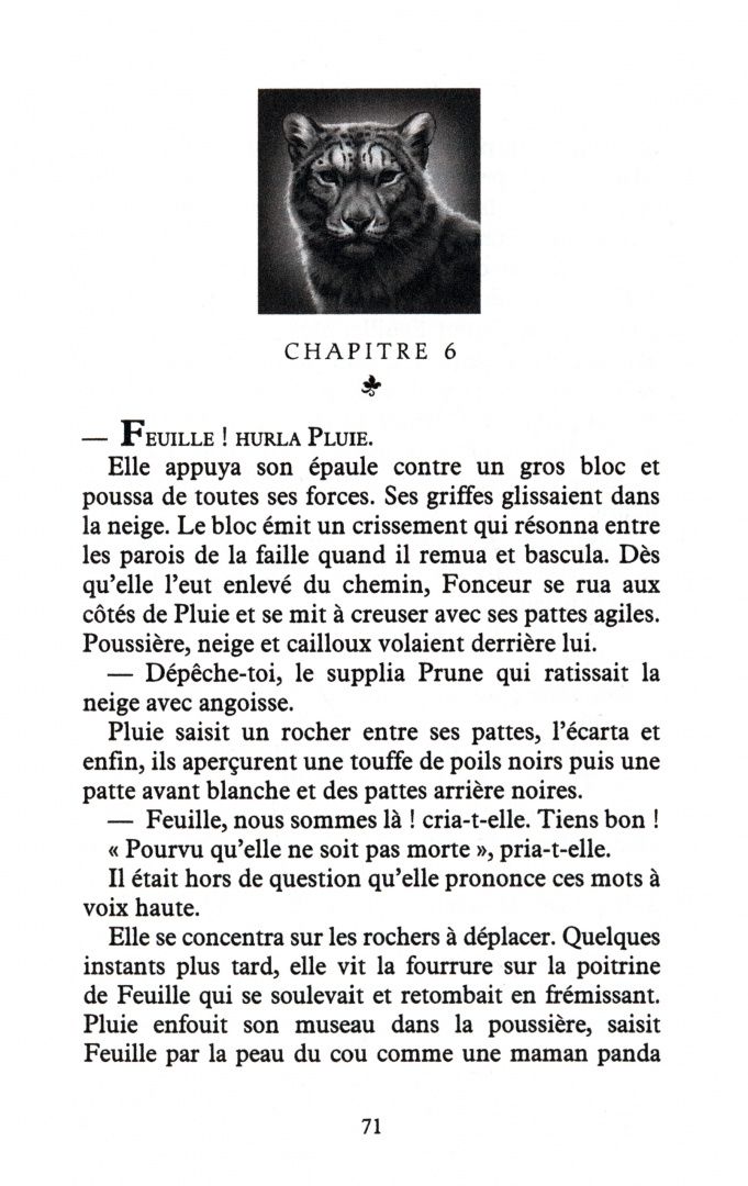 Хантер Эрин: Les Messagers du Dragon. Tome 2. Une rivière de secrets