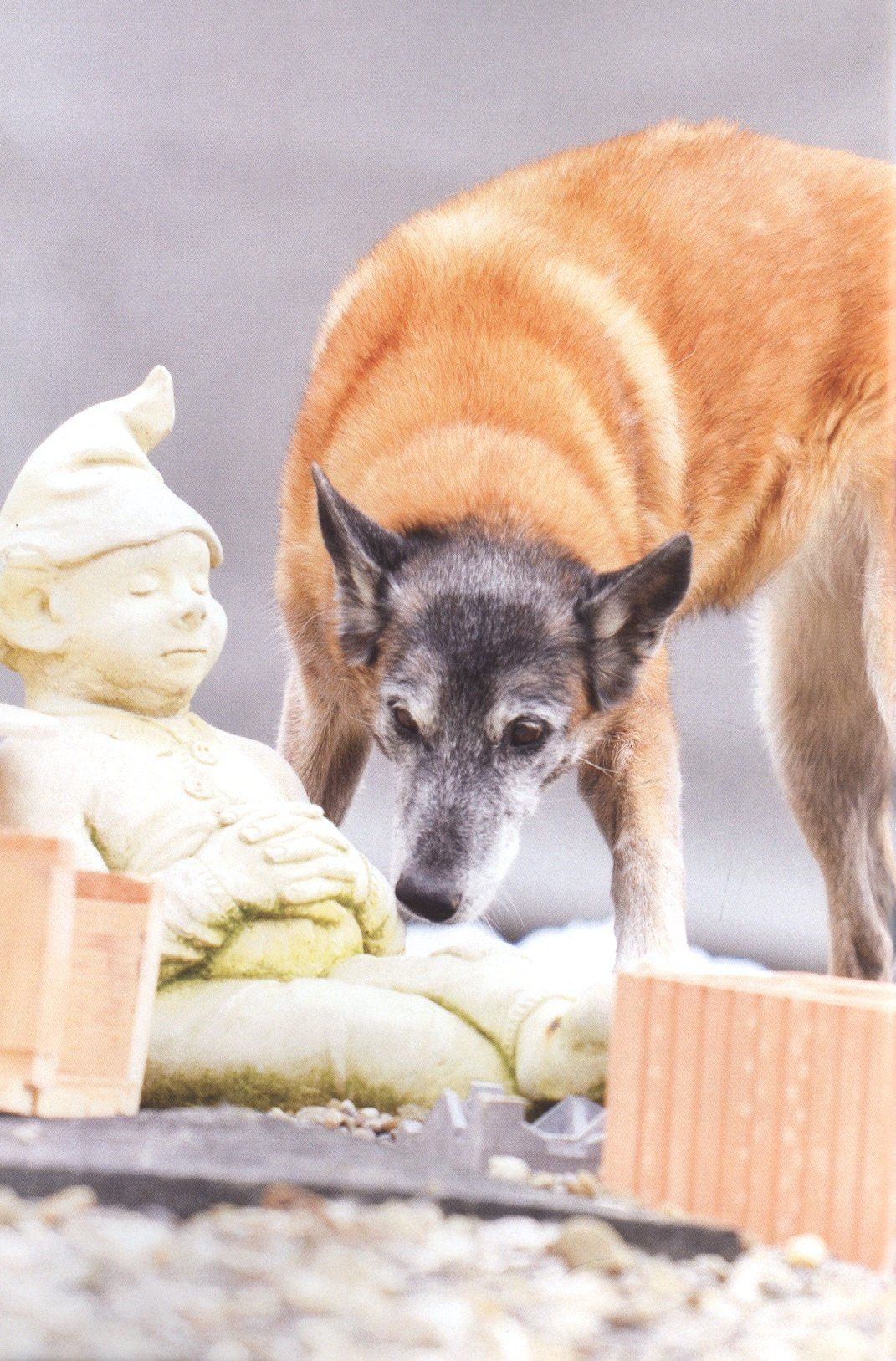 ПоСо — поиск сокровищ. Нос ведет к цели