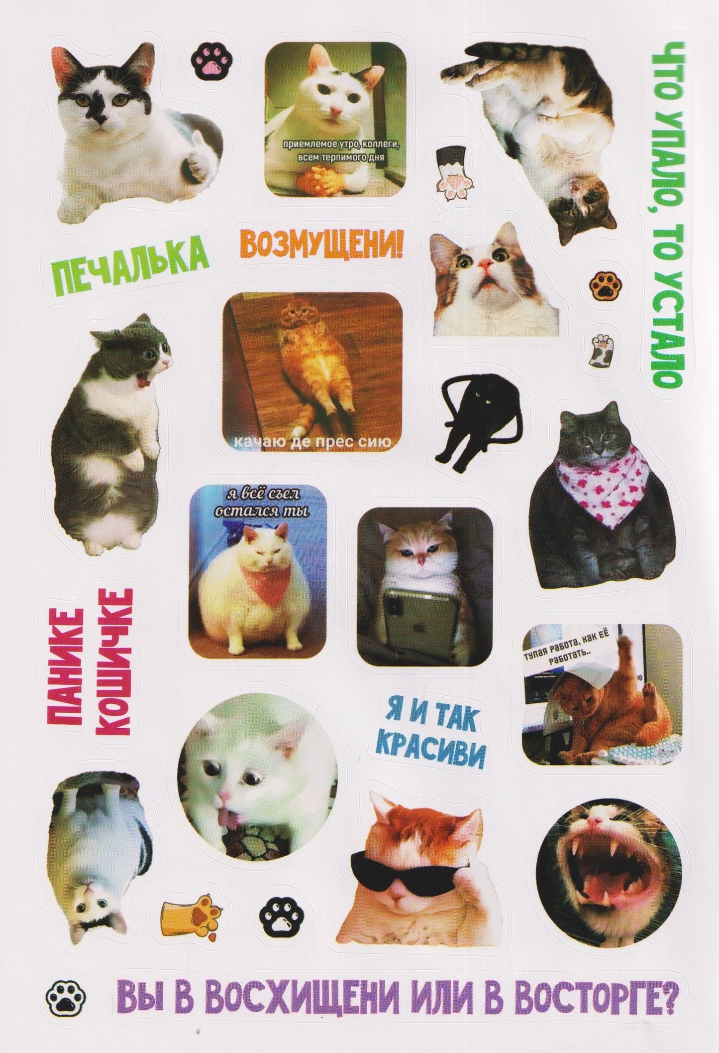 Мяумемы. Котостикеры с ВАУ-эффектом! Наклейки