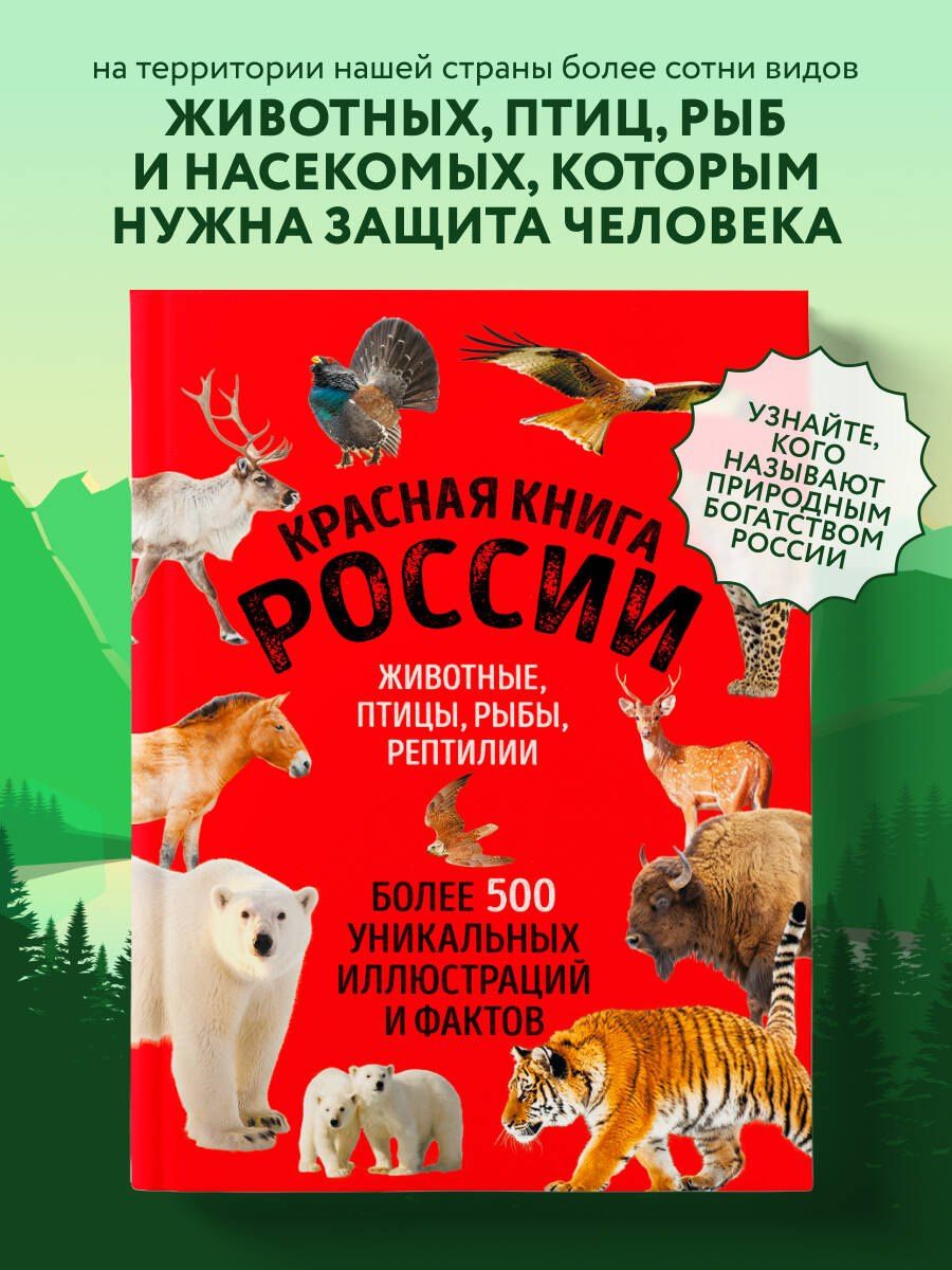 Юлия Добрыня: Красная книга России. Большой формат. Более 500 уникальных иллюстраций и фактов (новое издание) (основной)
