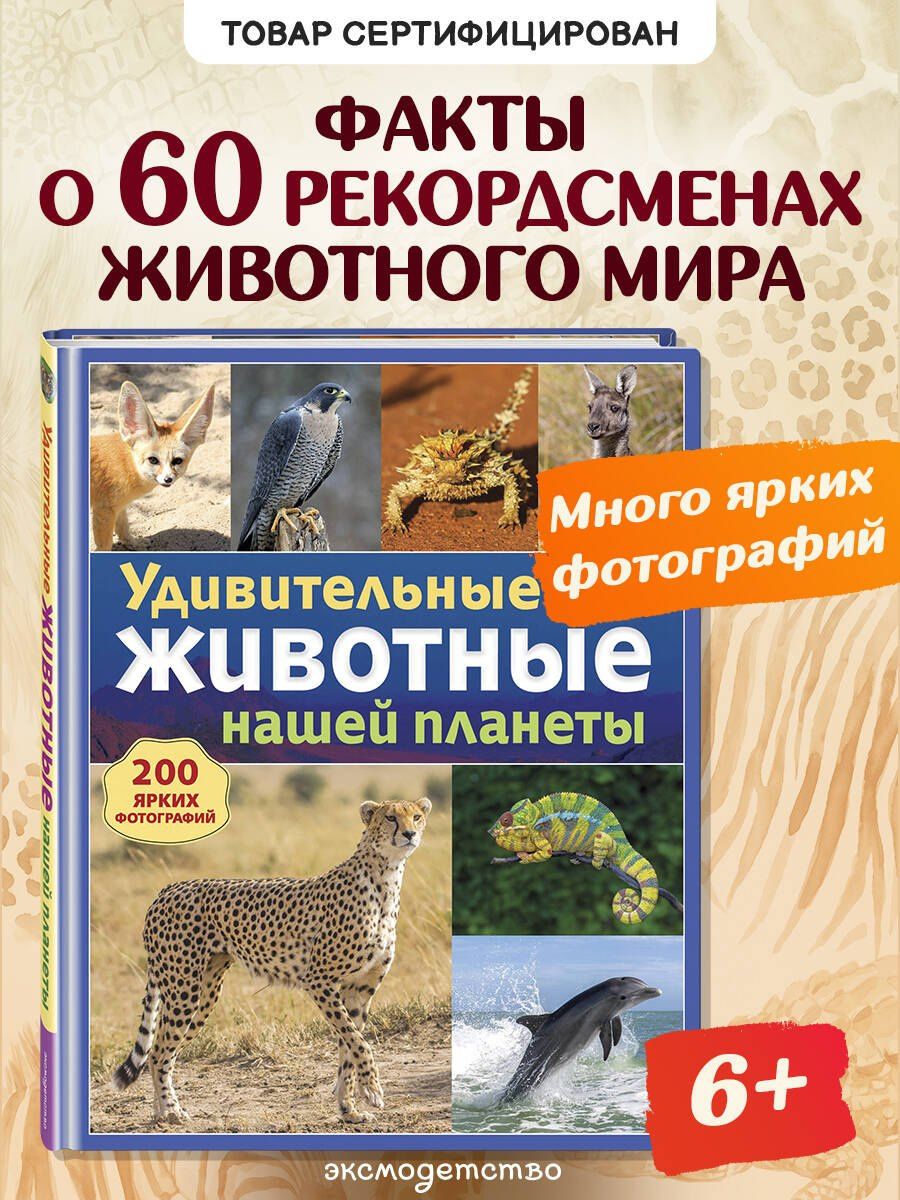 Удивительные животные нашей планеты