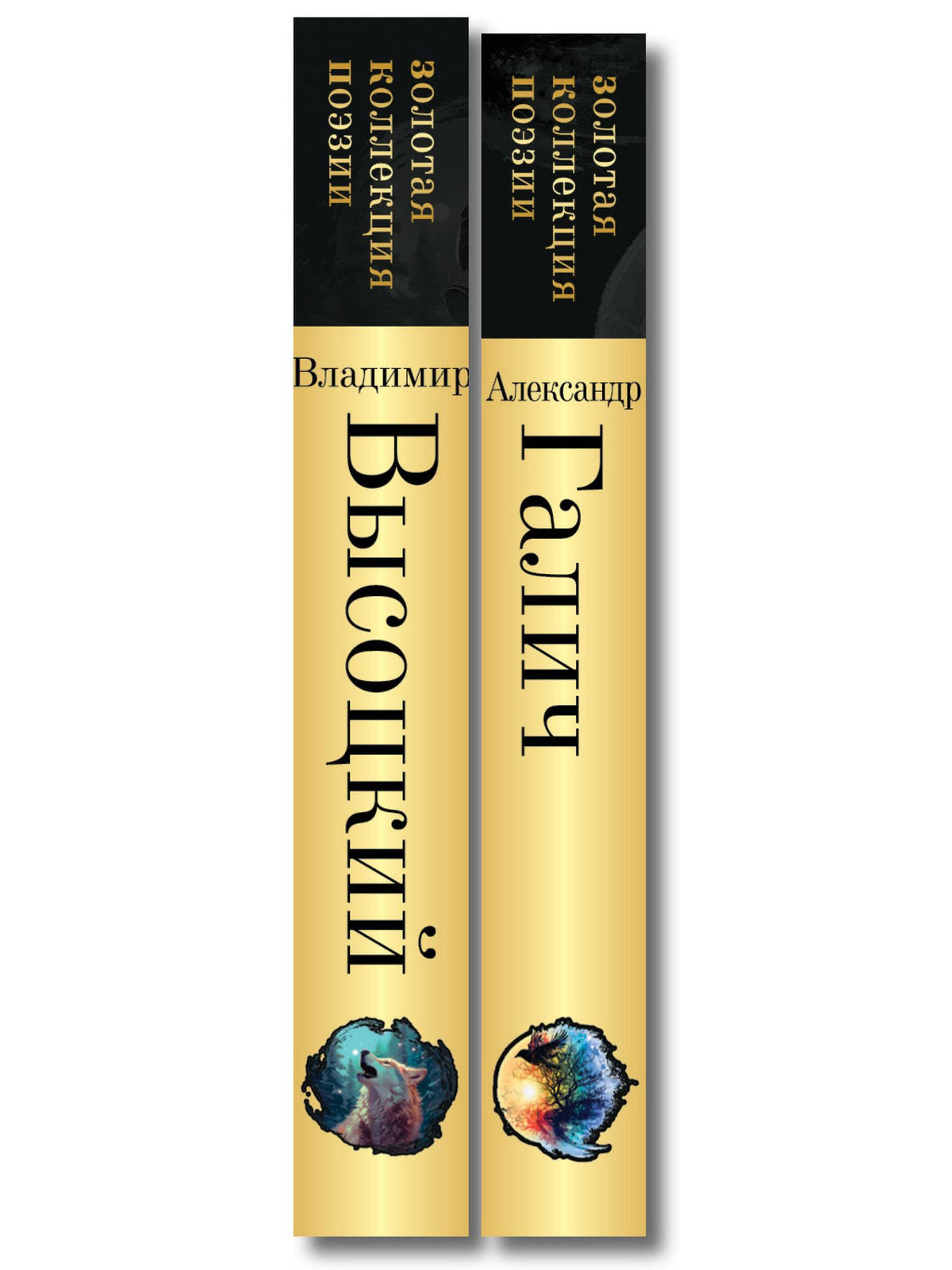 Комплект Голоса поколения (из 2-х книг Высоцкий и Галич)