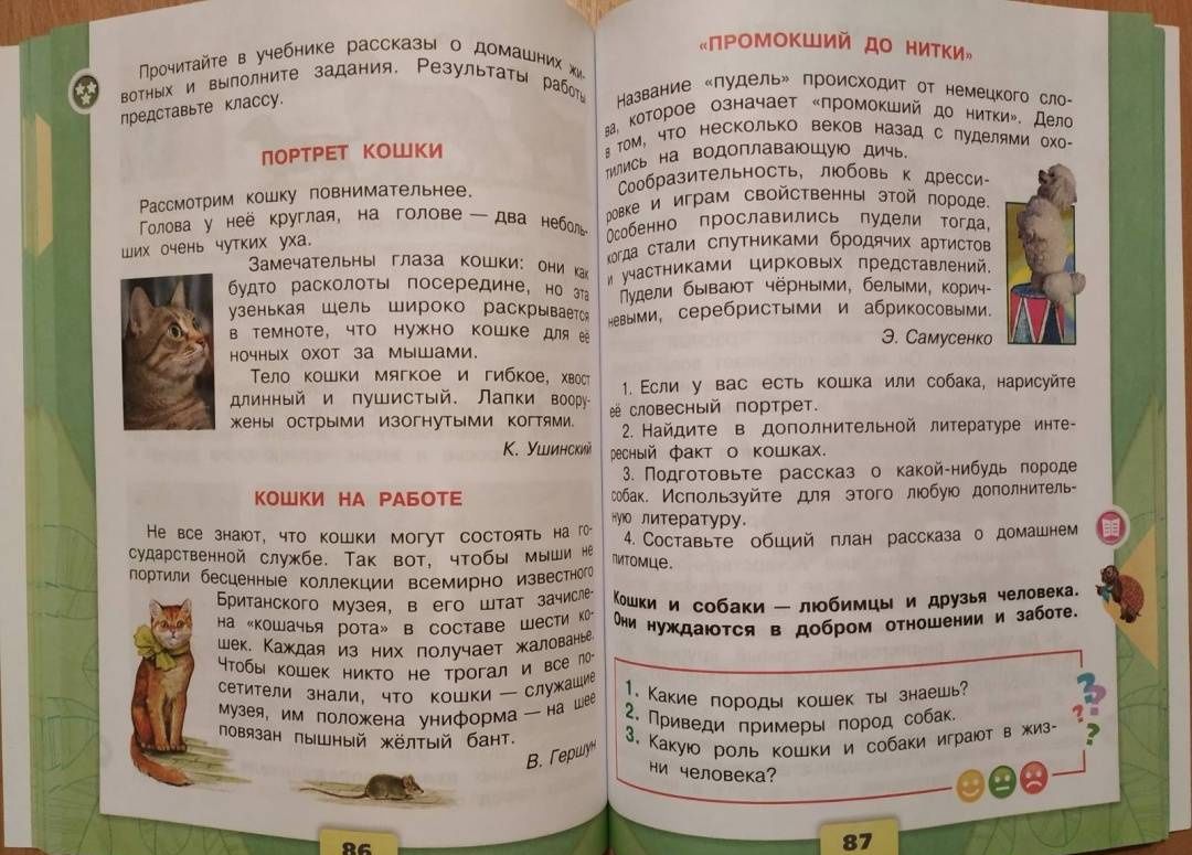 Андрей Плешаков: Окружающий мир. 2 класс. Учебник. Часть 2. ФГОС