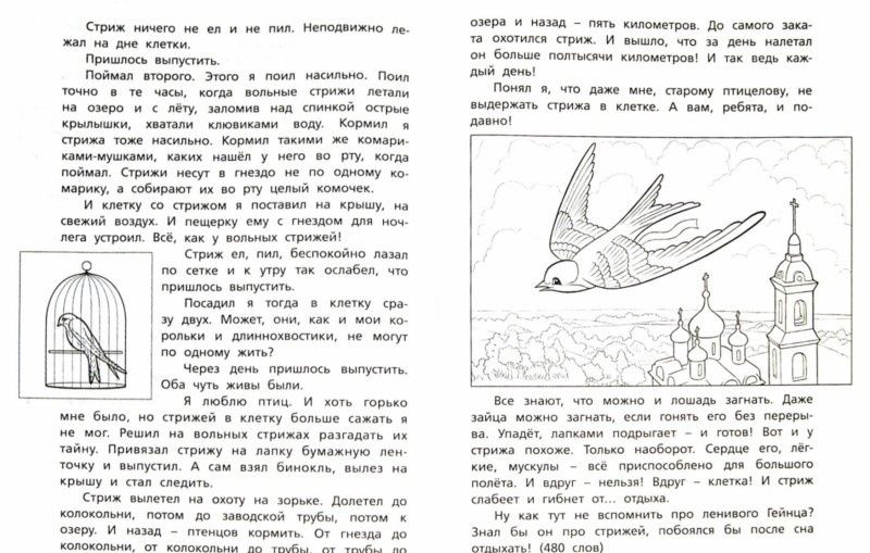 Елена Матвеева: Литературное чтение. 4 класс. Тетрадь для тренировки и самопроверки. ФГОС