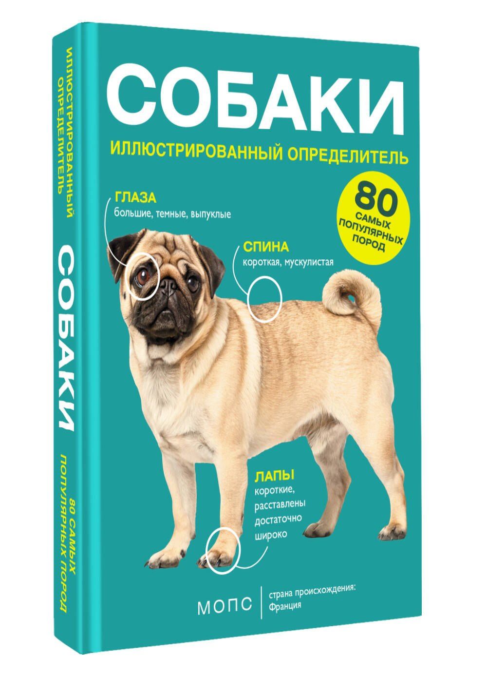 Ирина Барановская: Собаки. 80 самых популярных пород. Иллюстрированный определитель