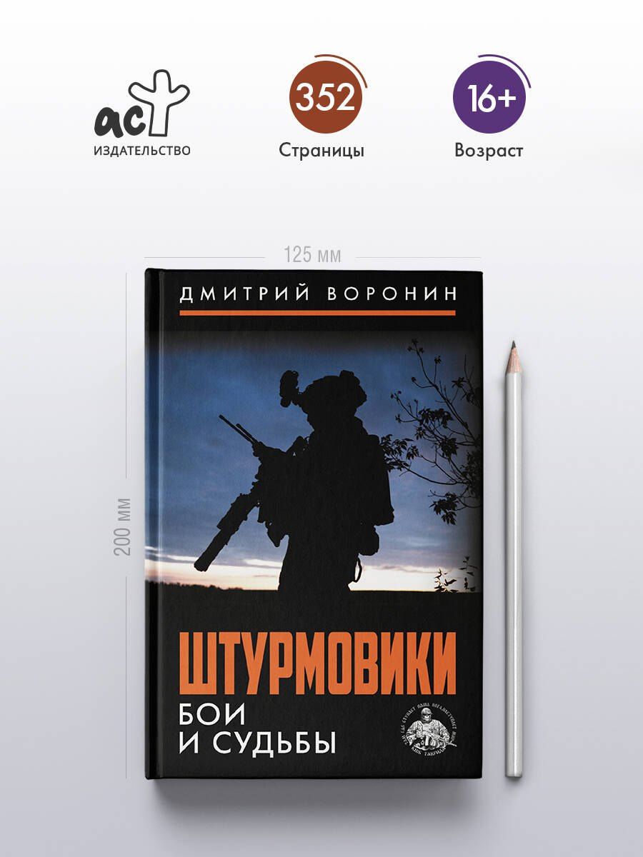 Дмитрий Воронин: Штурмовики. Бои и судьбы