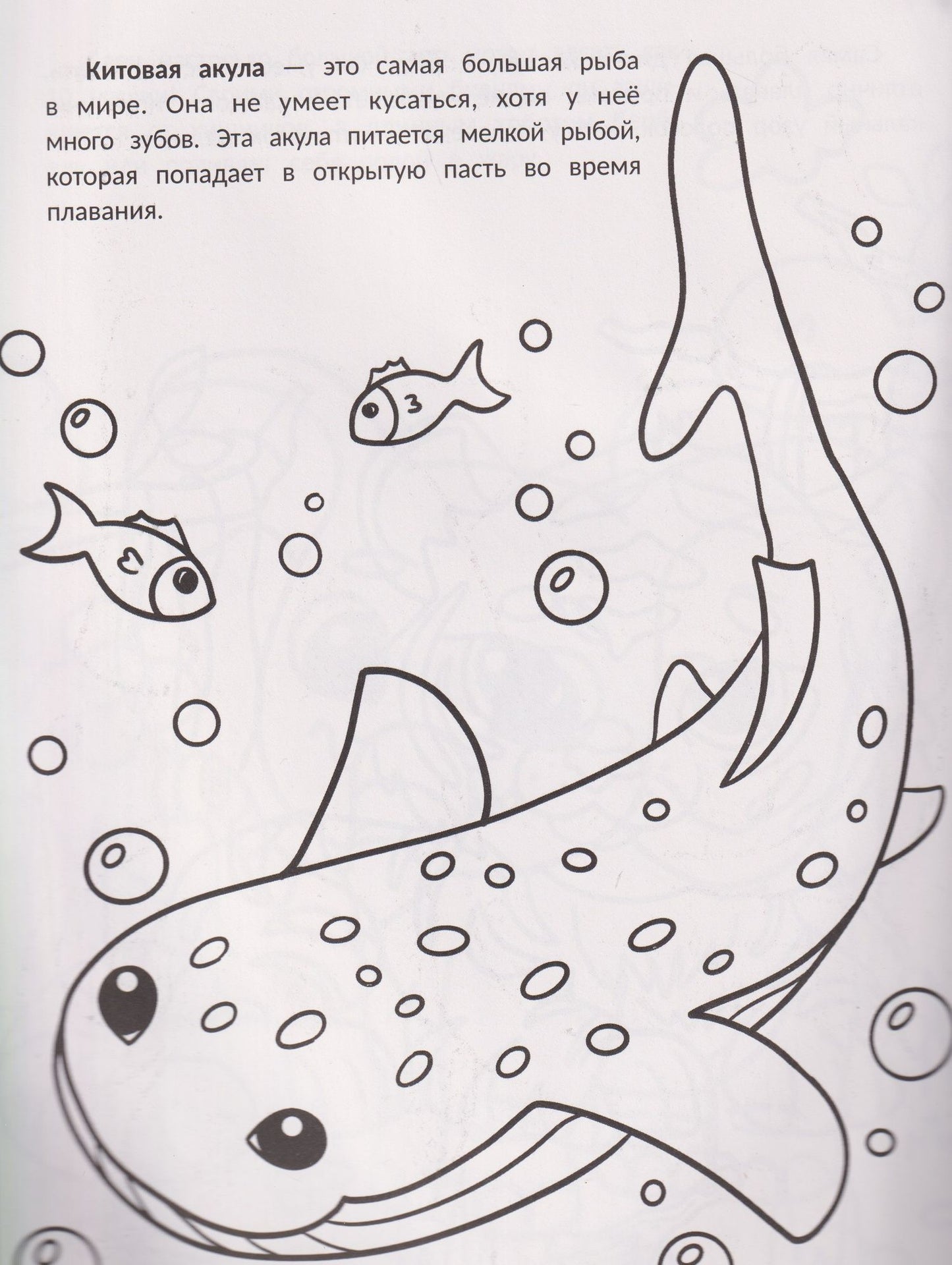 Самые большие: книжка-раскраска