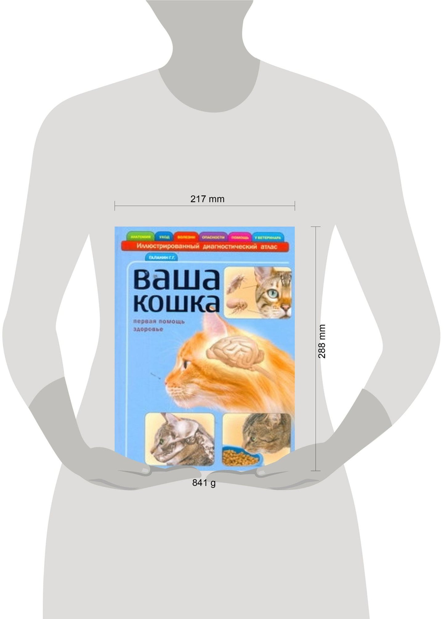Георгий Галанин: Ваша кошка. Иллюстрированный диагностический атлас. Здоровье, первая помощь