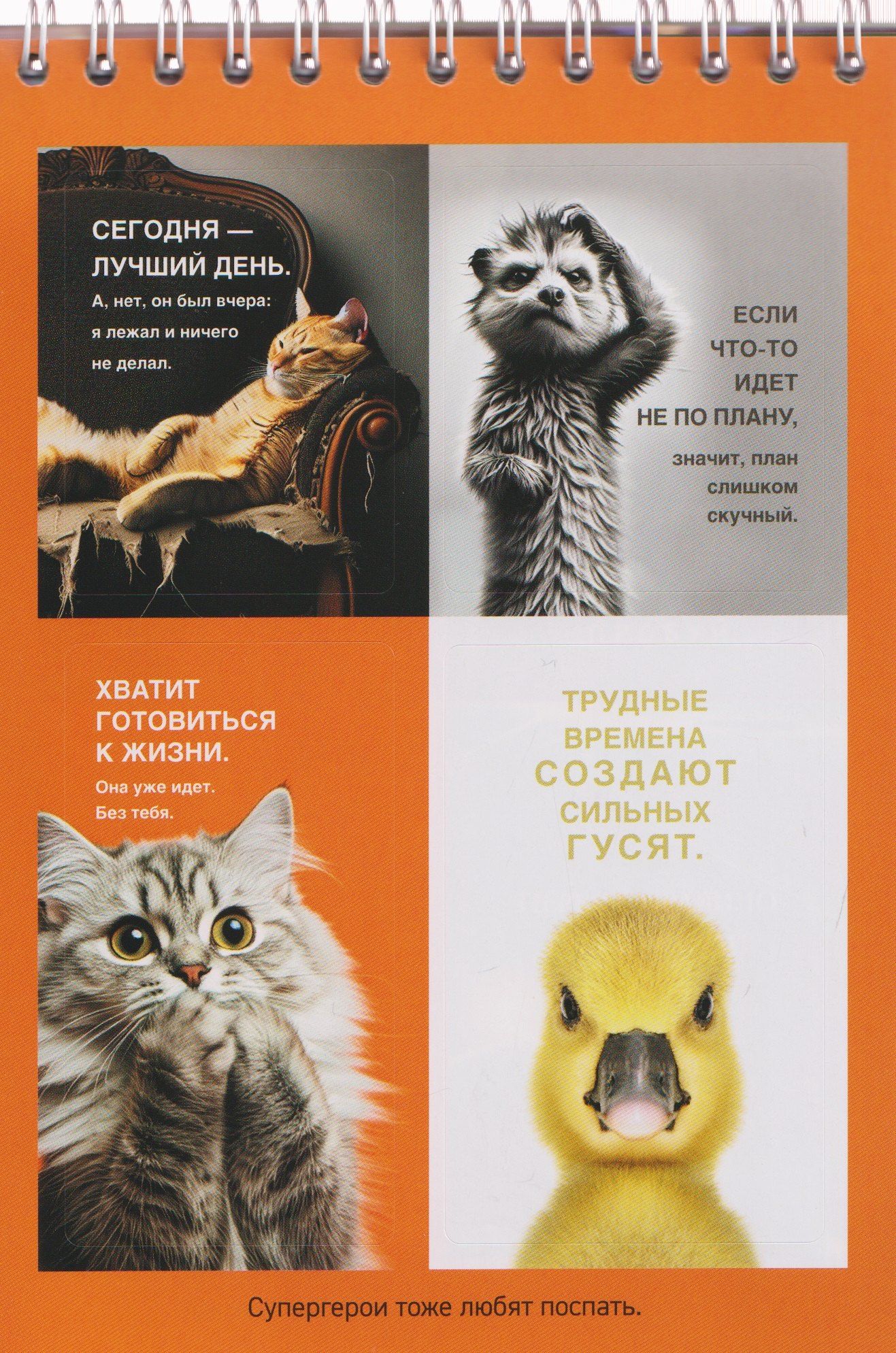 Дай себе год. И опять ничего не меняй. Стикербук с цитатами