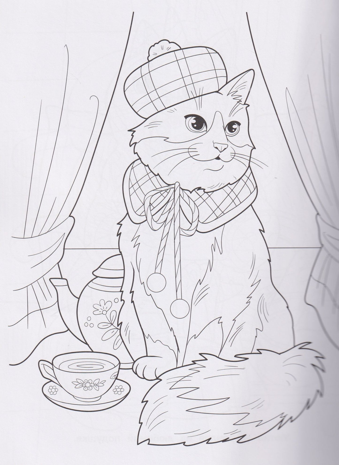 Котики