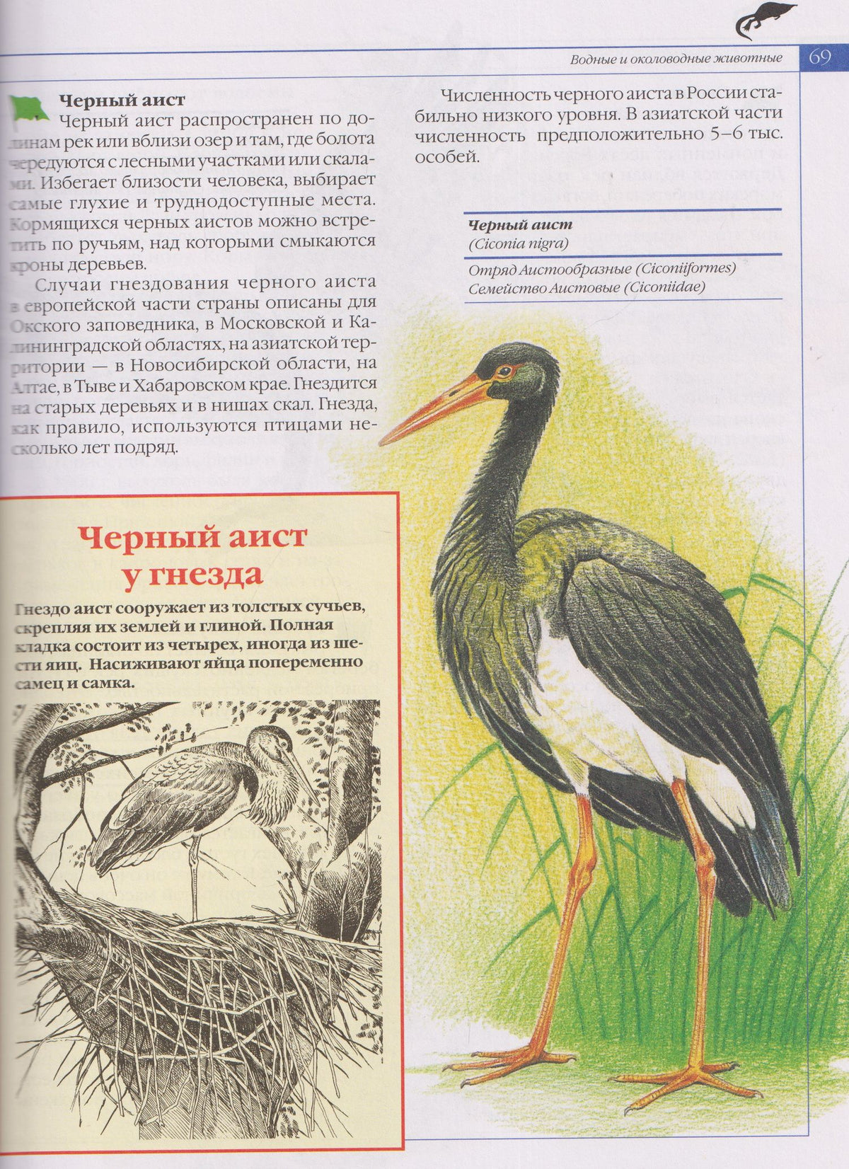 Александр Тихонов: Красная книга. Животные России