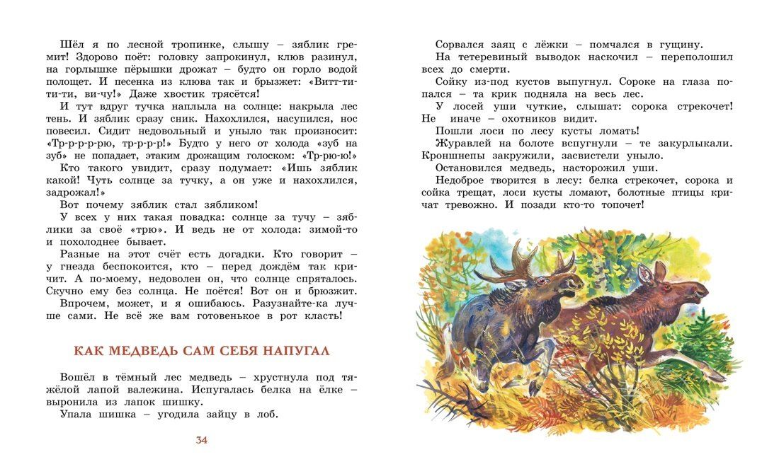 Николай Сладков: Лесные тайнички