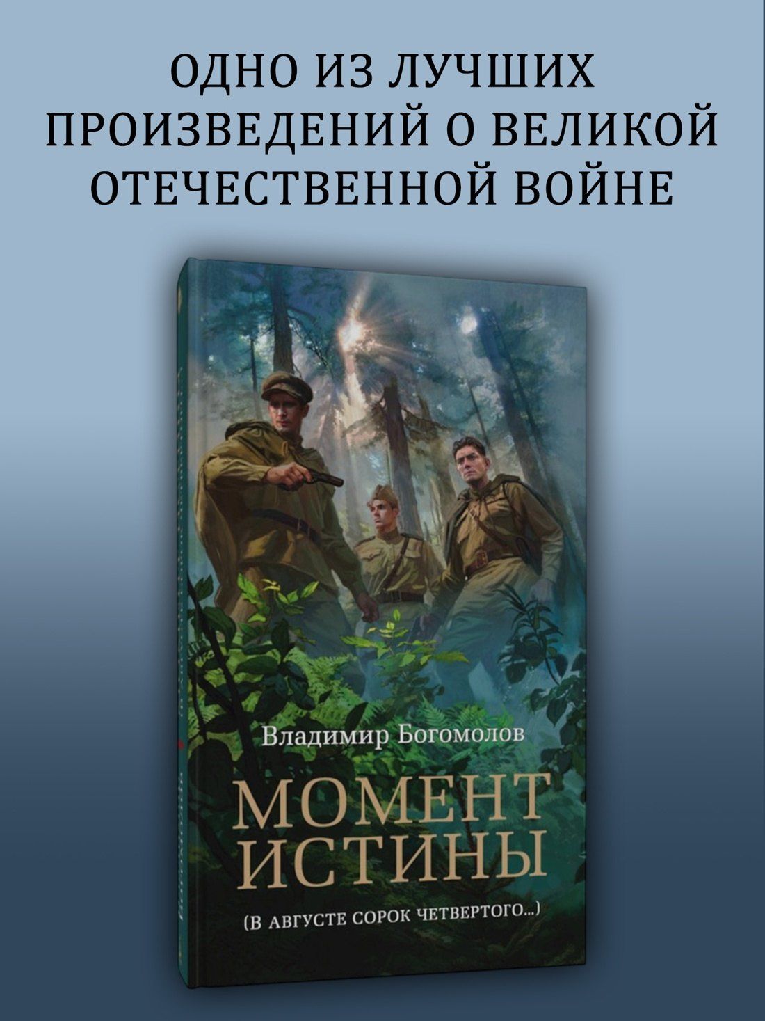 Владимир Богомолов: Момент истины