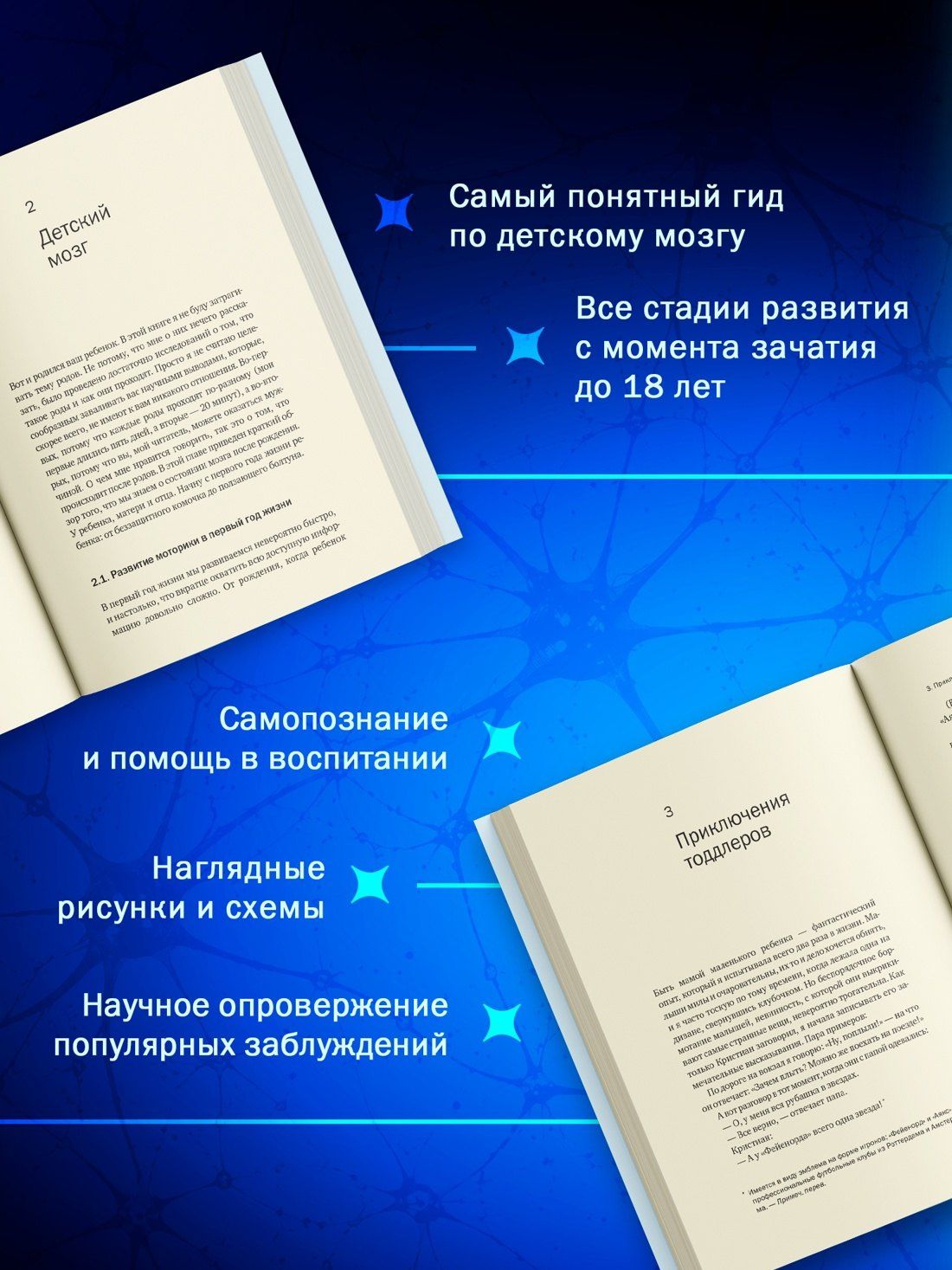 Марсия Годдард: Мозг в стадии разработки. Загадки нейробиологии: все, что мы знаем и не знаем о развитии мозга