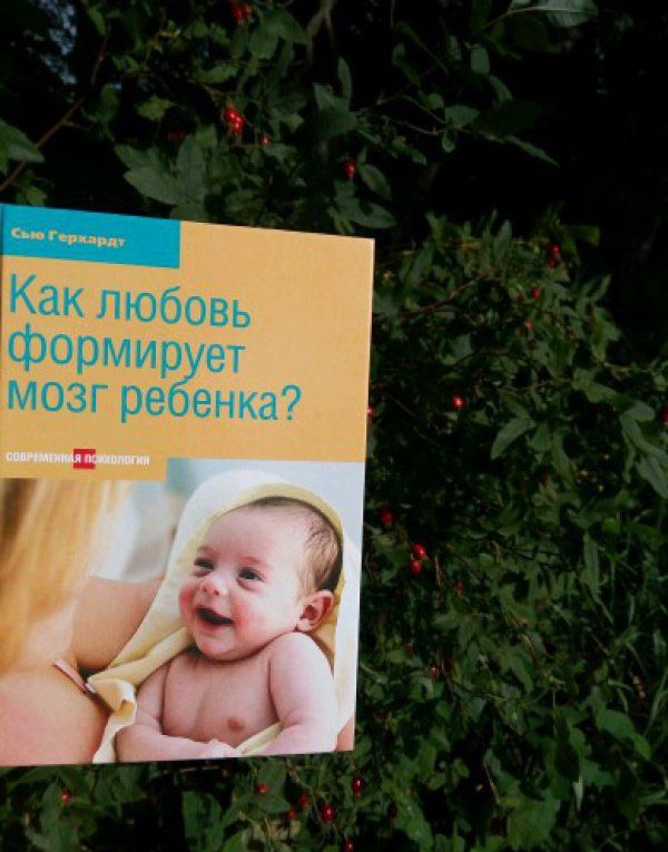 Сью Герхардт: Как любовь формирует мозг ребенка?