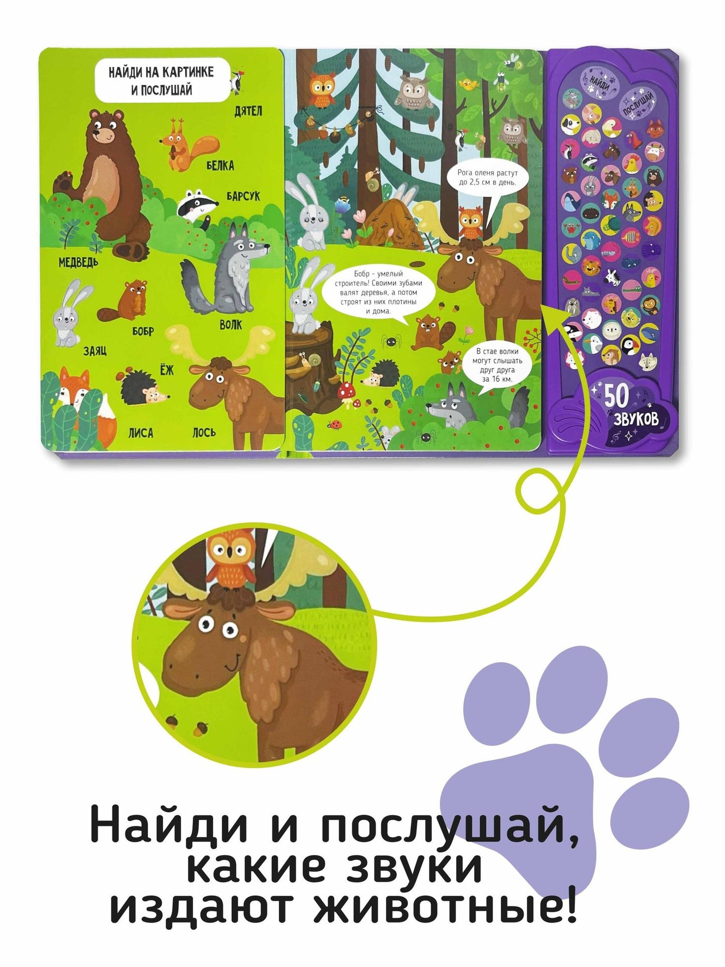 Животные. Большая книга звуков