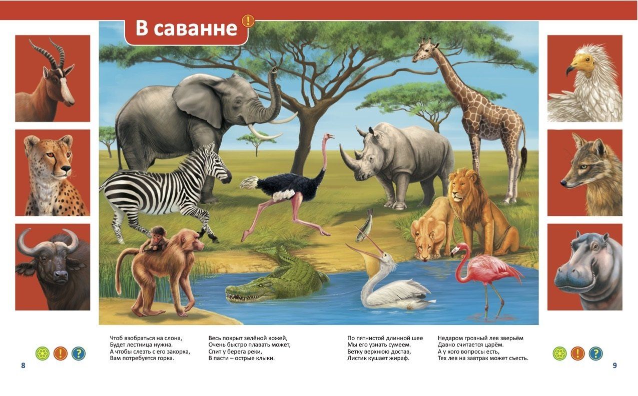 Эти удивительные животные