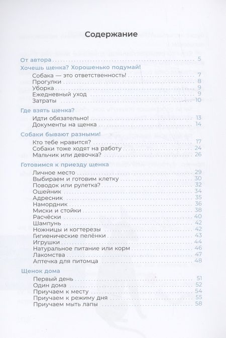 Фотография книги "А. Чёлушкина: Хочу щенка!"
