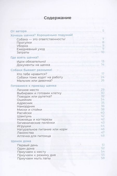 Фотография книги "А. Чёлушкина: Хочу щенка!"