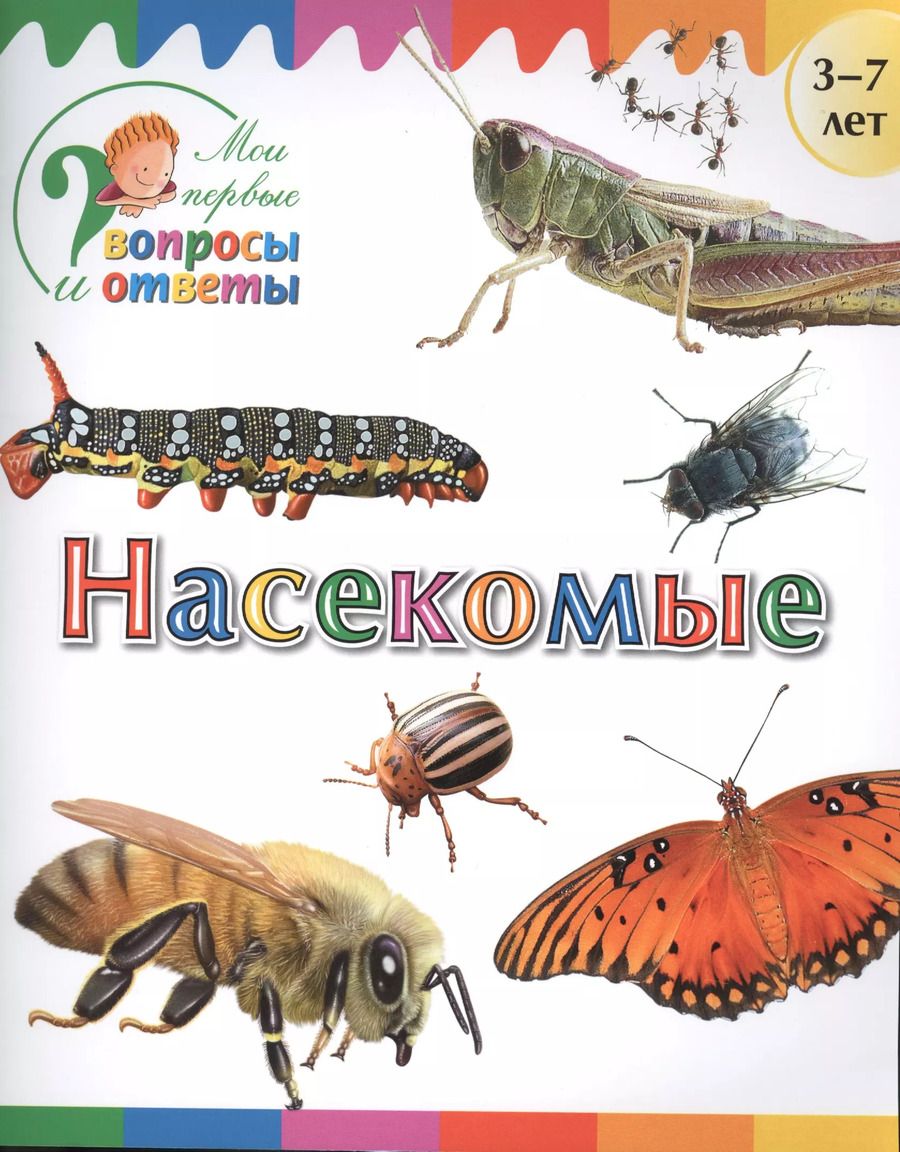 Обложка книги "А.А. Орехов: Насекомые"