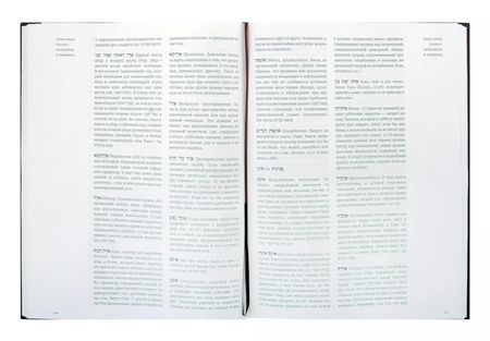 Фотография книги "Адин Эвен-Исраэль: Введение в Талмуд"